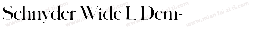 Schnyder Wide L Dem字体转换